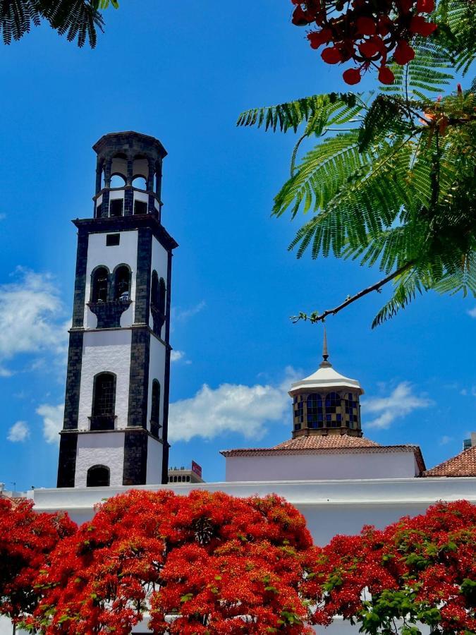 Homestay Niko Santa Cruz de Tenerife