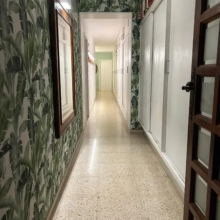 Niko Rooms Santa Cruz de Tenerife Zewnętrze zdjęcie
